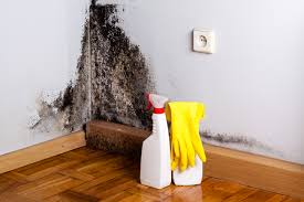 Best Mold Removal for HVAC Installations  in Georgetown, CT